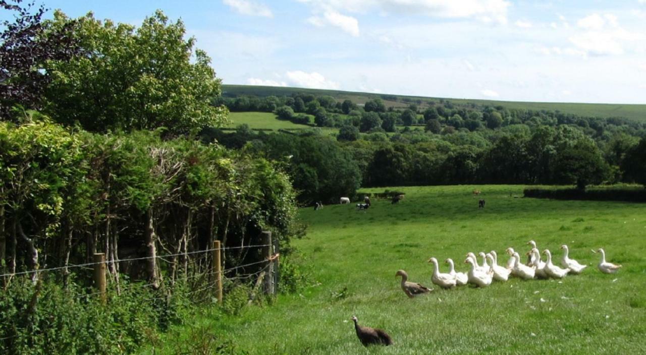 Heathergate Cottage Dartmoor Bnb Lydford Exterior foto